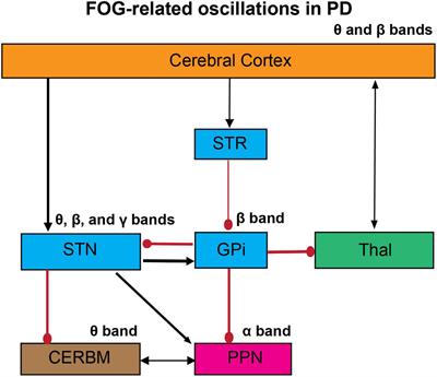 Abnormal neural oscillations during gait and dual-task in Parkinson’s disease